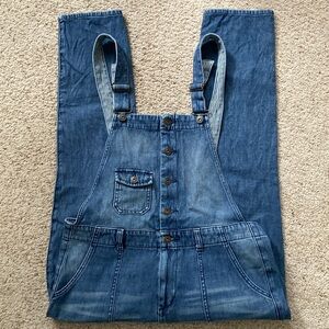 Last Chance🥳! Lovestitch Overalls with Railroad Stripe lining. Size L.